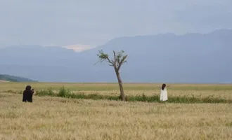 網(wǎng)紅孤獨(dú)樹(shù)被砍：別讓流量狂歡踐踏農(nóng)人煙火
